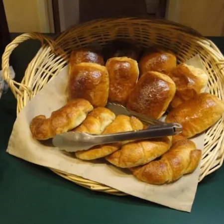 埃皮纳勒快克宫殿酒店 埃皮纳勒